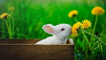 德阳伴游，定制QQ：3494206190微信：act1322